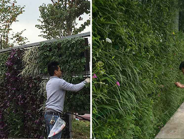 六盘水立体绿化设计的核心原则