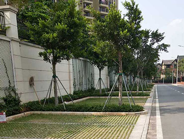 六盘水植草砖的功能优势与实际应用 城市绿化铺装专用建材