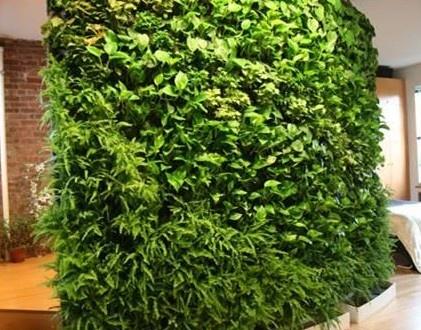 六盘水立体绿化材料的植物搭配设计